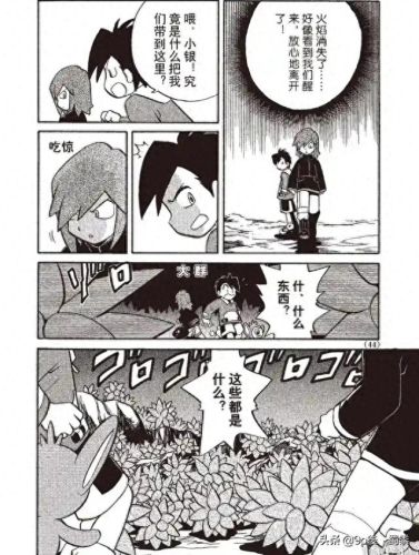 宠物小精灵bw145(宠物小精灵dp145)插图4