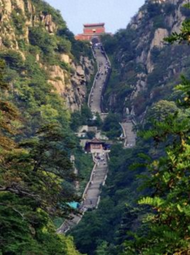 大学生特种兵旅游是什么梗(城市特种兵什么梗)插图6