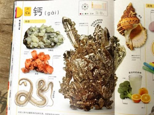 CS英文名字(cs扔炸弹的英文)插图12