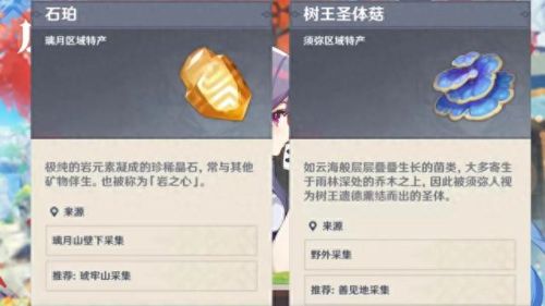 石珀采集位置(石珀采集路线)插图4