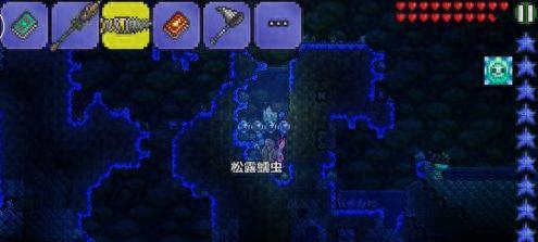 泰拉瑞亚武器钓鱼鱼饵(泰拉鱼饵配方怎么获得)插图2