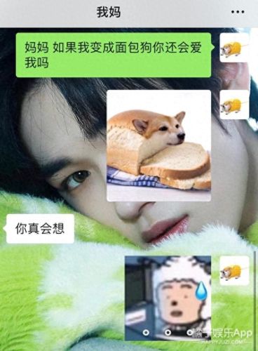 面包狗表情包(面包狗图片)插图11