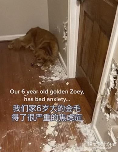 tips是什么意思梗(tips扣款和大厅扣款区别)插图45