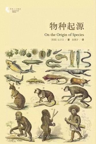 天廻龙(天彗龙)插图23