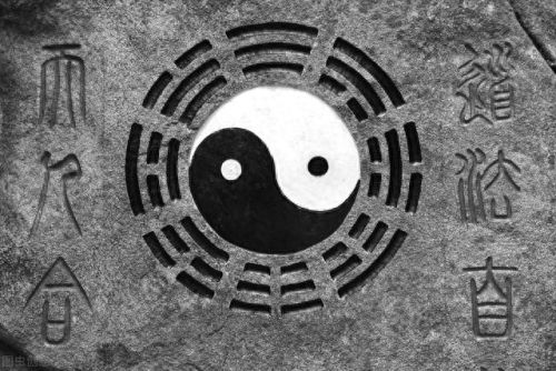 牛牛电影(成年人免费在线看的惊悚动作片)