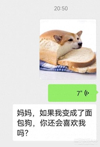 面包狗表情包(面包狗图片)插图13