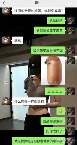 面包狗表情包(面包狗图片)插图23