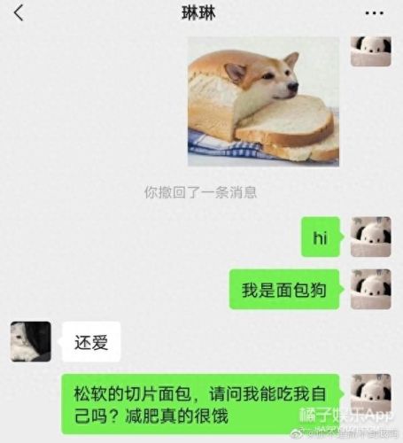 面包狗表情包(面包狗图片)插图27