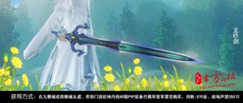 天下3天域剑武器外观(天下3天域武器有几代了)插图5