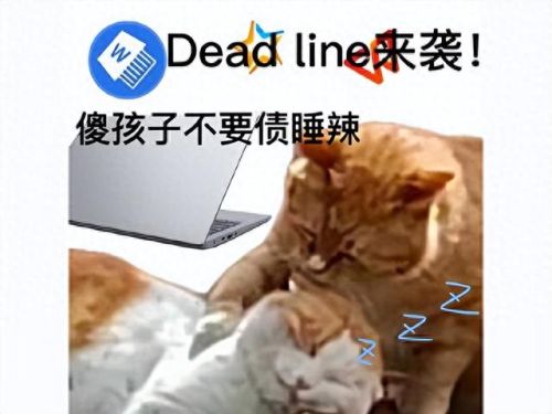 什么免费网游好玩(手游人气排名第一名)插图1