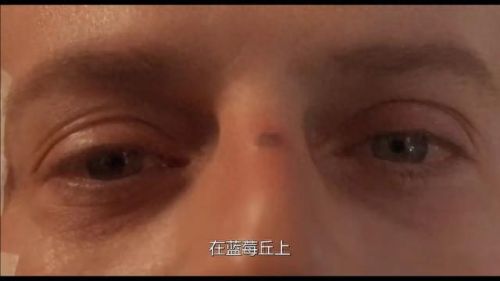 12只猴子(12只猴子电影解析)插图6