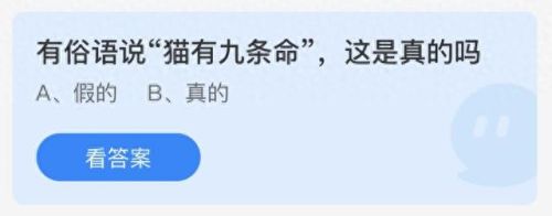 猫有九条命真的吗蚂蚁庄园(为啥说猫咪有九条命)插图