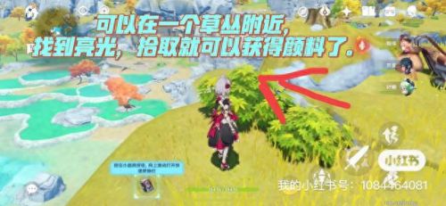 原神寻找梵米尔的画笔与颜料(原神寻找另一块奇怪的石头)插图4