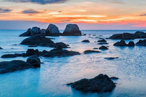 梦海鼠(海鼠养殖广西)插图
