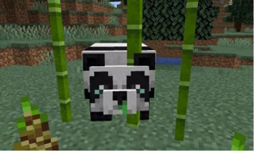 minecraft史莱姆(minecraft 史莱姆在哪)插图