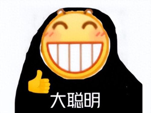 史小坑的爆笑生2活攻略(史小坑的爆笑生活9全攻略)