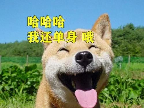 陌陌是什么啊(陌陌风哥事件)