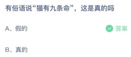 猫有九条命真的吗蚂蚁庄园(为啥说猫咪有九条命)