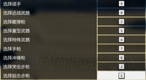 gta5怎么设置中文(gta里中文在哪设置)插图12