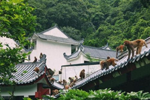 贵阳好玩吗(贵阳好玩的地方)插图3