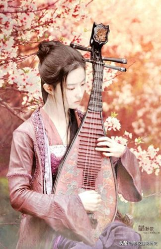 白居易不娶琵琶女的原因(白居易和琵琶女的后续)插图