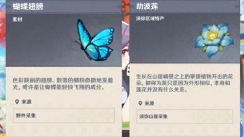 石珀采集位置(石珀采集路线)插图3