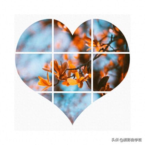 九宫格图片(九宫格图片素材)插图1