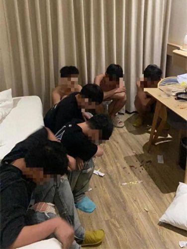 如何免费领取蛋仔皮肤(0元领取螳螂皮肤)插图7