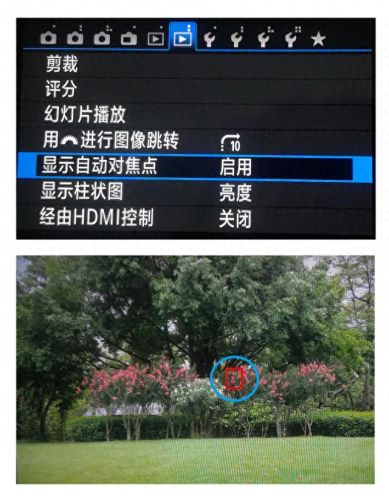 nef格式怎么打开(nef格式的照片怎么用手机打开)插图1