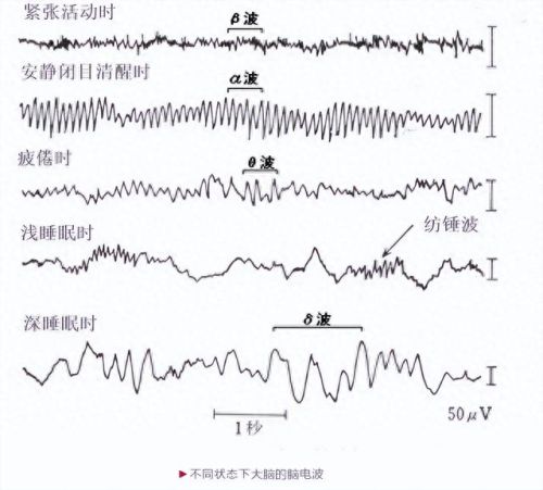 可以约人睡觉的app(满足男生求生欲的软件)插图10