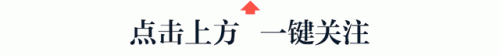 大学生特种兵旅游是什么梗(城市特种兵什么梗)插图