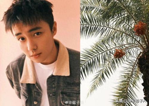 绯闻男友攻略(我的绯闻男友)插图10