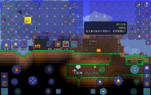 泰拉瑞亚武器钓鱼鱼饵(泰拉鱼饵配方怎么获得)插图4