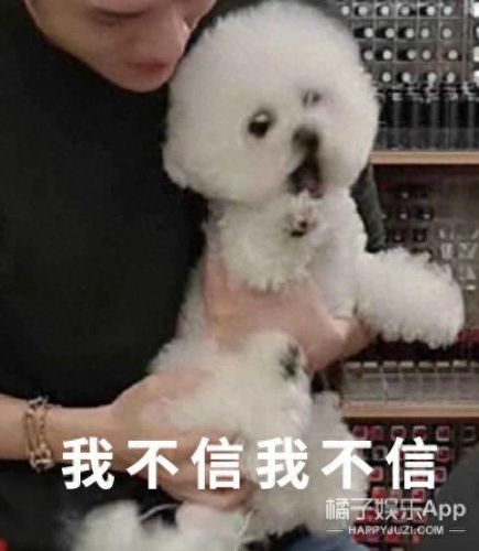 tips是什么意思梗(tips扣款和大厅扣款区别)插图32