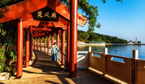 夺回秋雅(夺回秋雅通关攻略1到30关)插图