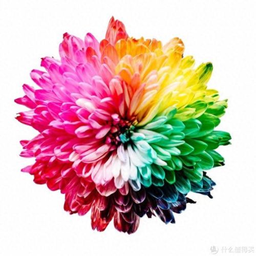 ps自学教程(ai教程从入门到精通)插图10