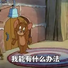 皇城突袭前线(皇城突袭)插图13