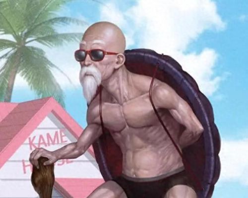 龟仙人的野望(龟仙人的野望安卓攻略)插图
