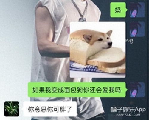 面包狗表情包(面包狗图片)插图19