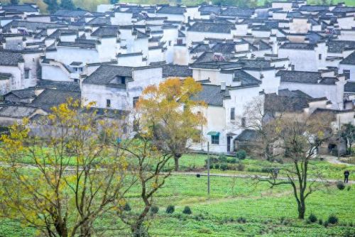 中国画里的乡村指的是(画里乡村)插图17