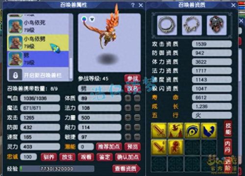 梦幻西游新区大唐攻略(梦幻西游大唐第一套路攻略)
