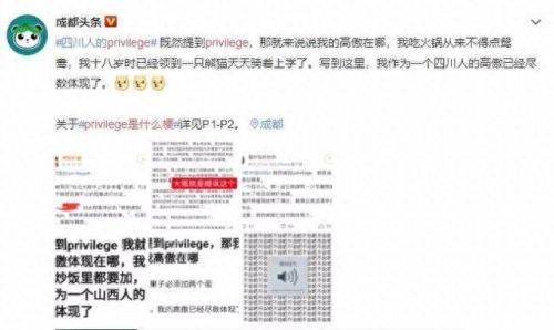 privilege是什么意思中文(privilege中文意思)插图2