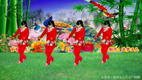 广场舞百鸟朝凤(百鸟朝凤舞蹈)插图2