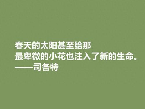 欧洲历史小说的创始人是(五等分的欧洲亲王小说)插图4