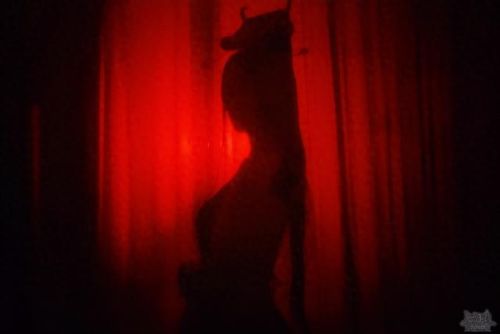 三国杀cosplay(三国杀cos)插图11