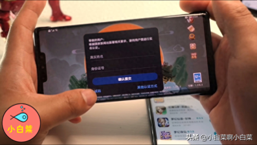 梦幻西游手游双平台帐号可以用(梦幻手游双平台目前最火的区)插图