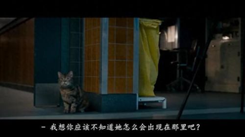 高级恐惧技能(大乱斗远古恐惧带什么技能)插图7