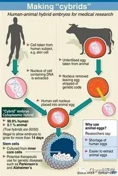 人曾交互mouse放(机器人mouse)插图5 人曾交互mouse放(机器人mouse)插图5