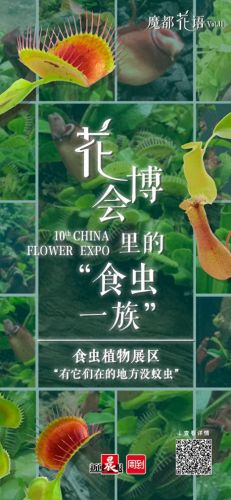 我的世界马桶解说空岛(我的世界马桶解说幸运方块)插图