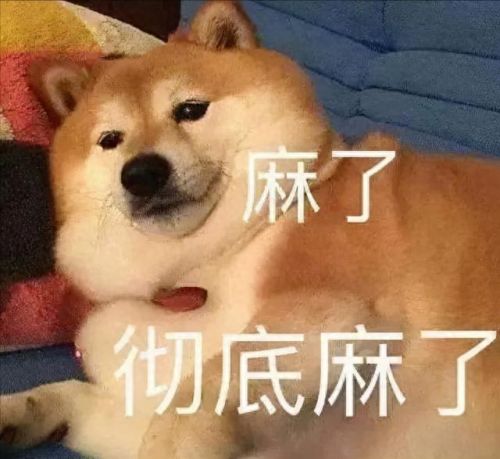 吃菠萝是什么梗(吃菠萝有什么功效和作用)插图1